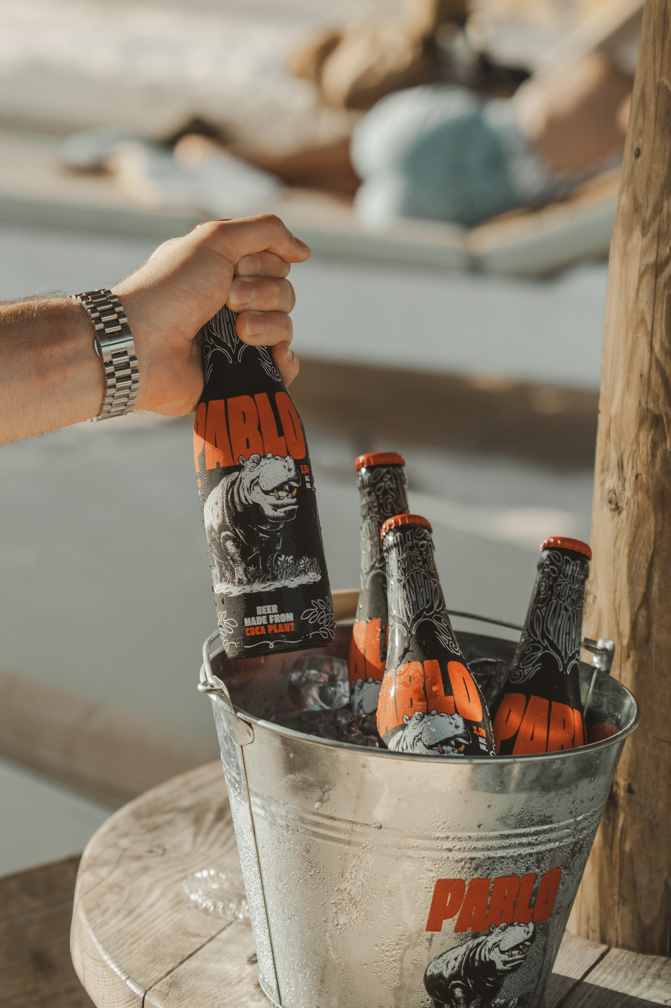 A bottle of Pablo Beer held above bottles chilling in an ice bucket.